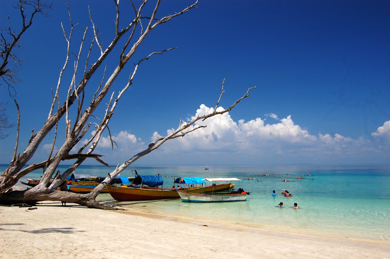 Havelock Island