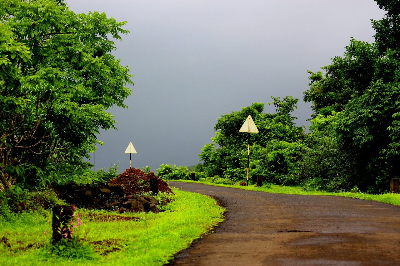 Best Places to Visit Now in South India