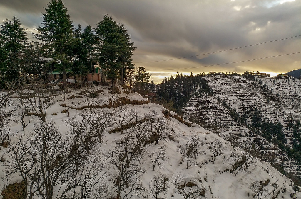 Best Time to Visit Kanatal