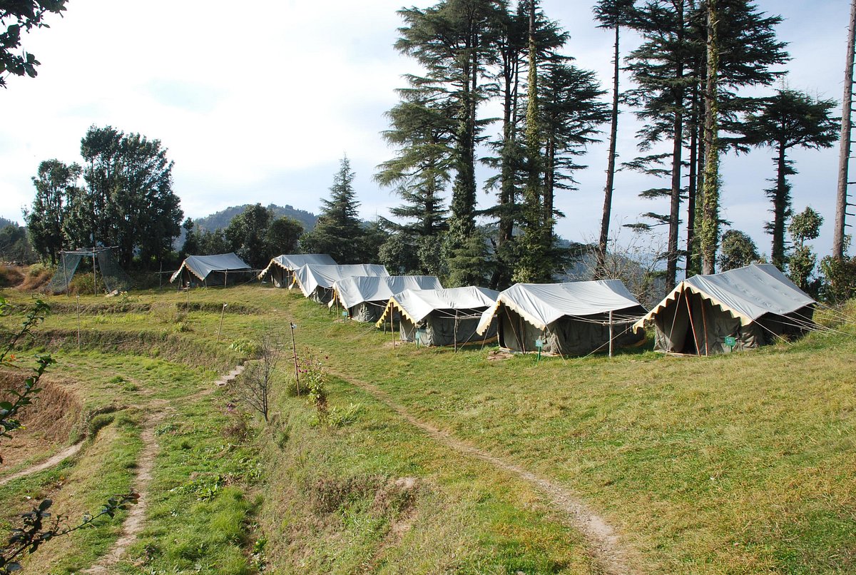 Best Time to Visit Kanatal: Seasonal Overview