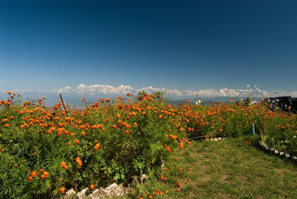 Mukteshwar: Adventure and Serenity