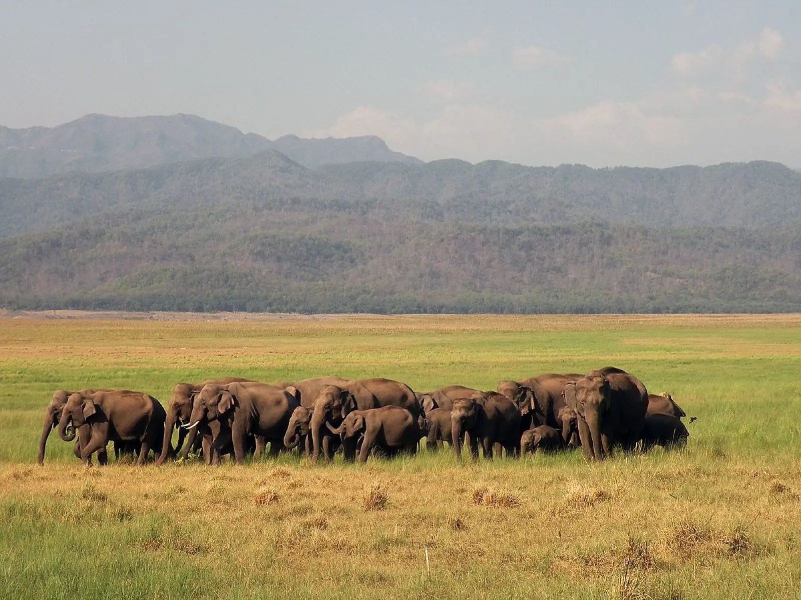 Climate of Jim Corbett National Park
