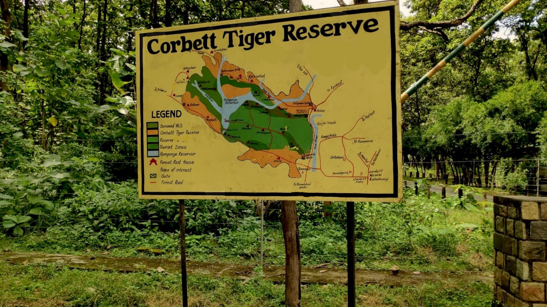 How to Visit Corbett National Park