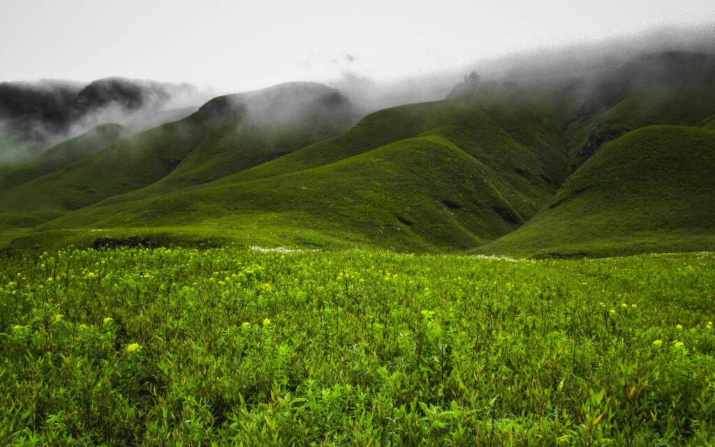 Weather Patterns and Seasonal Variations