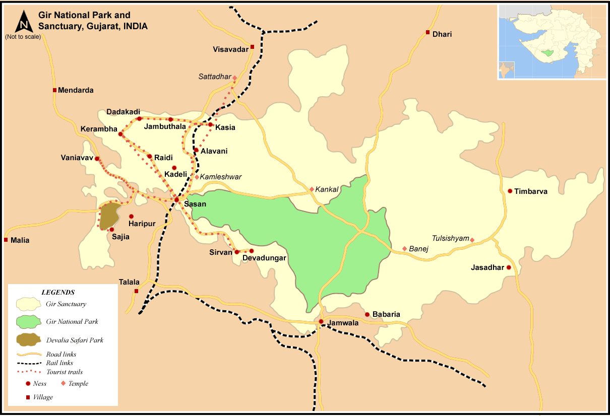 How to Visit Gir National Park: Transportation Guide