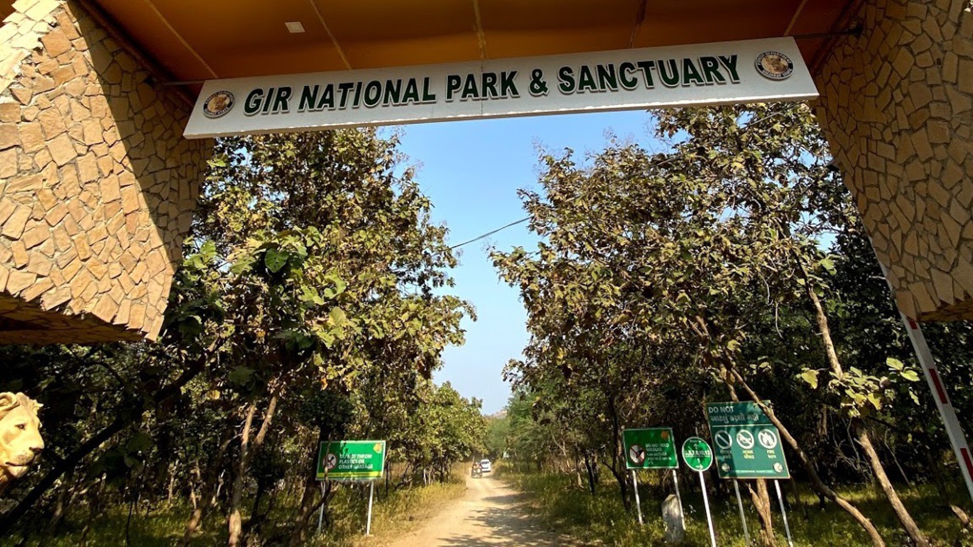 Understanding Gir National Park: A Wildlife Haven