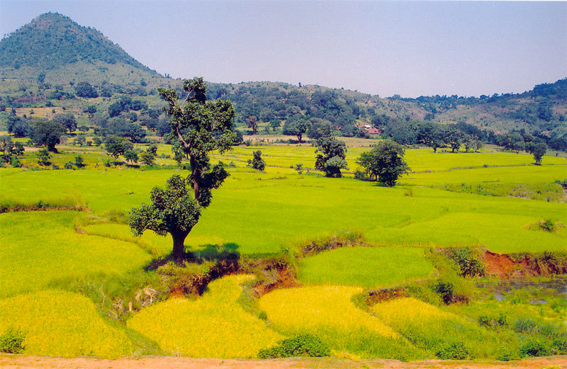 Araku valley