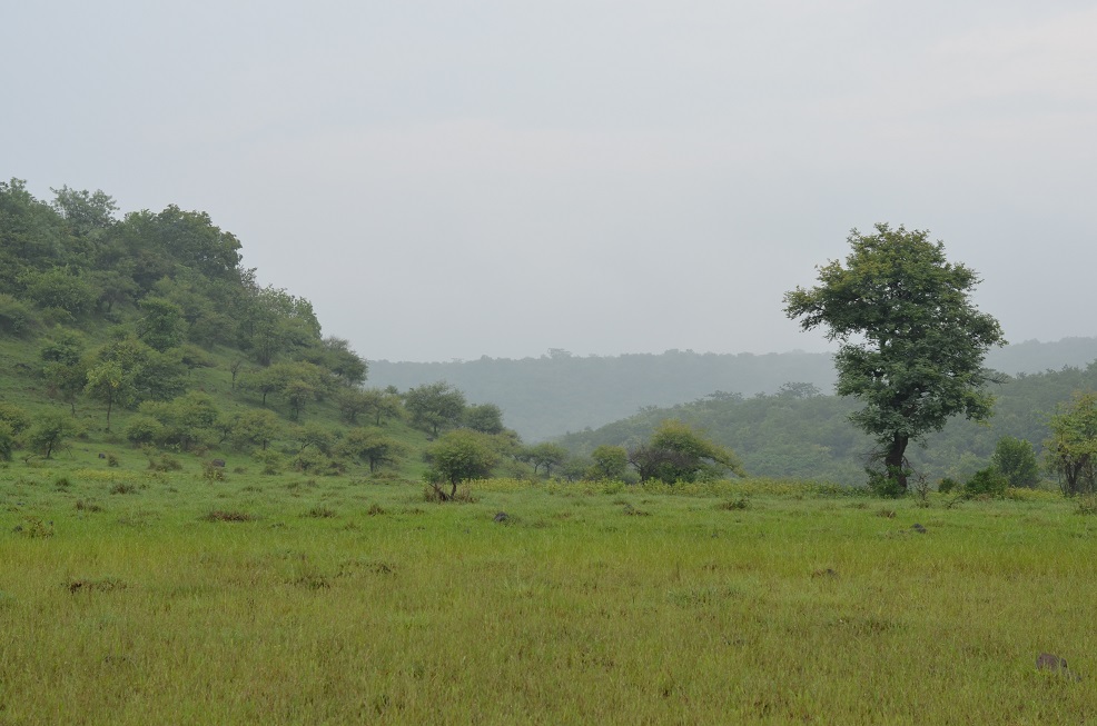 Ananthagiri Hills