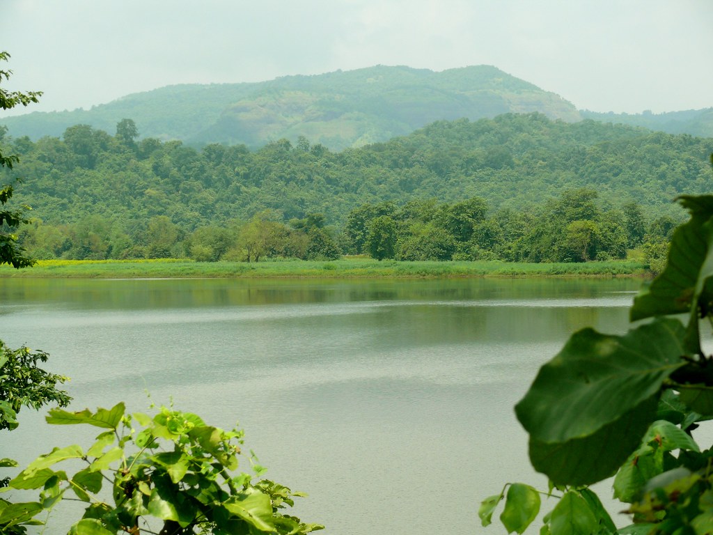 Kolad