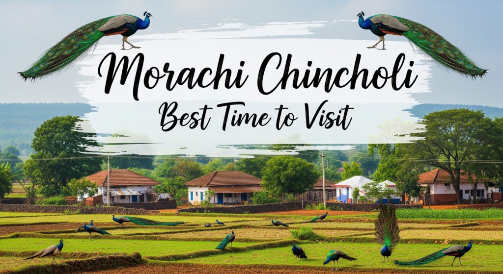 Morachi Chincholi Best Time to Visit