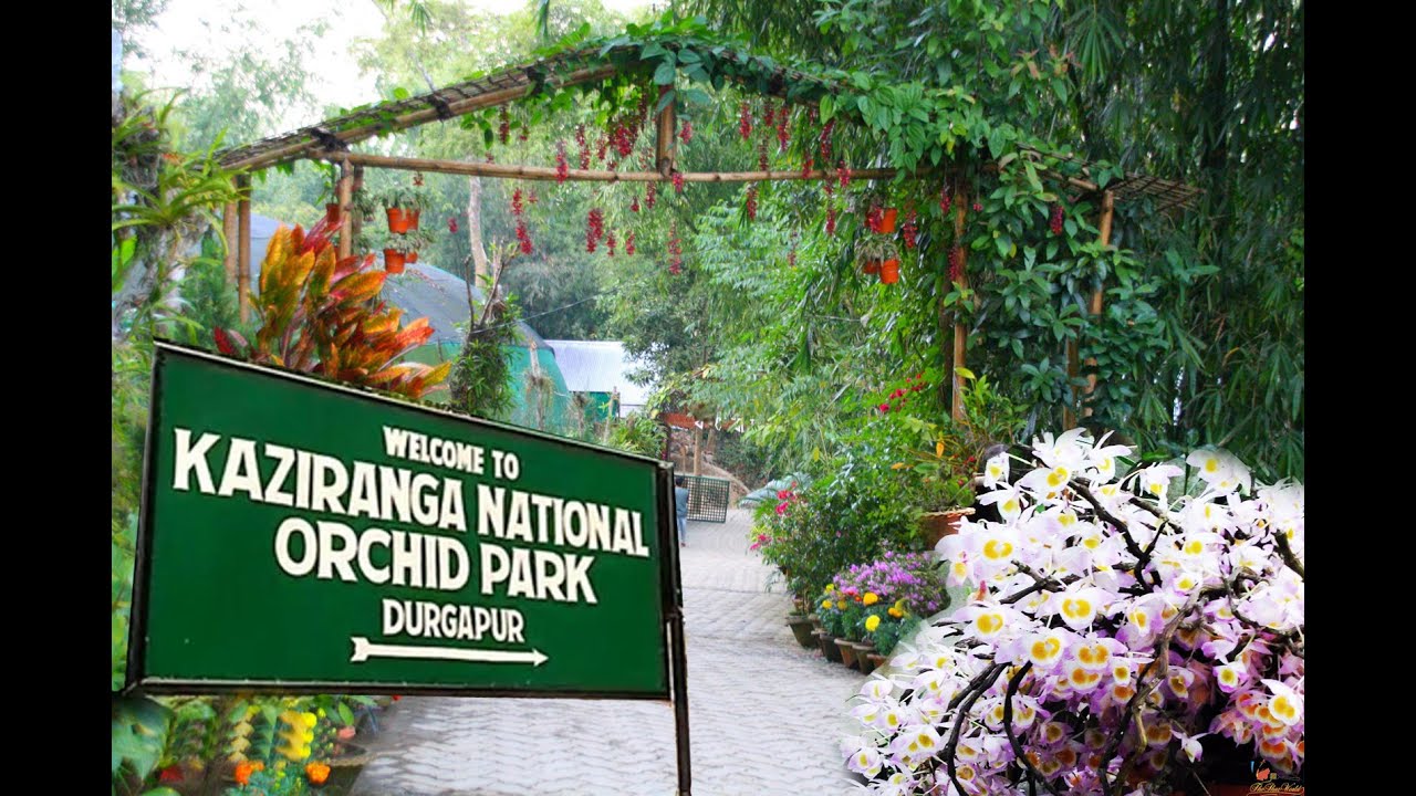 Kaziranga Orchid and Biodiversity Park