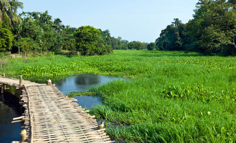 Majuli Island