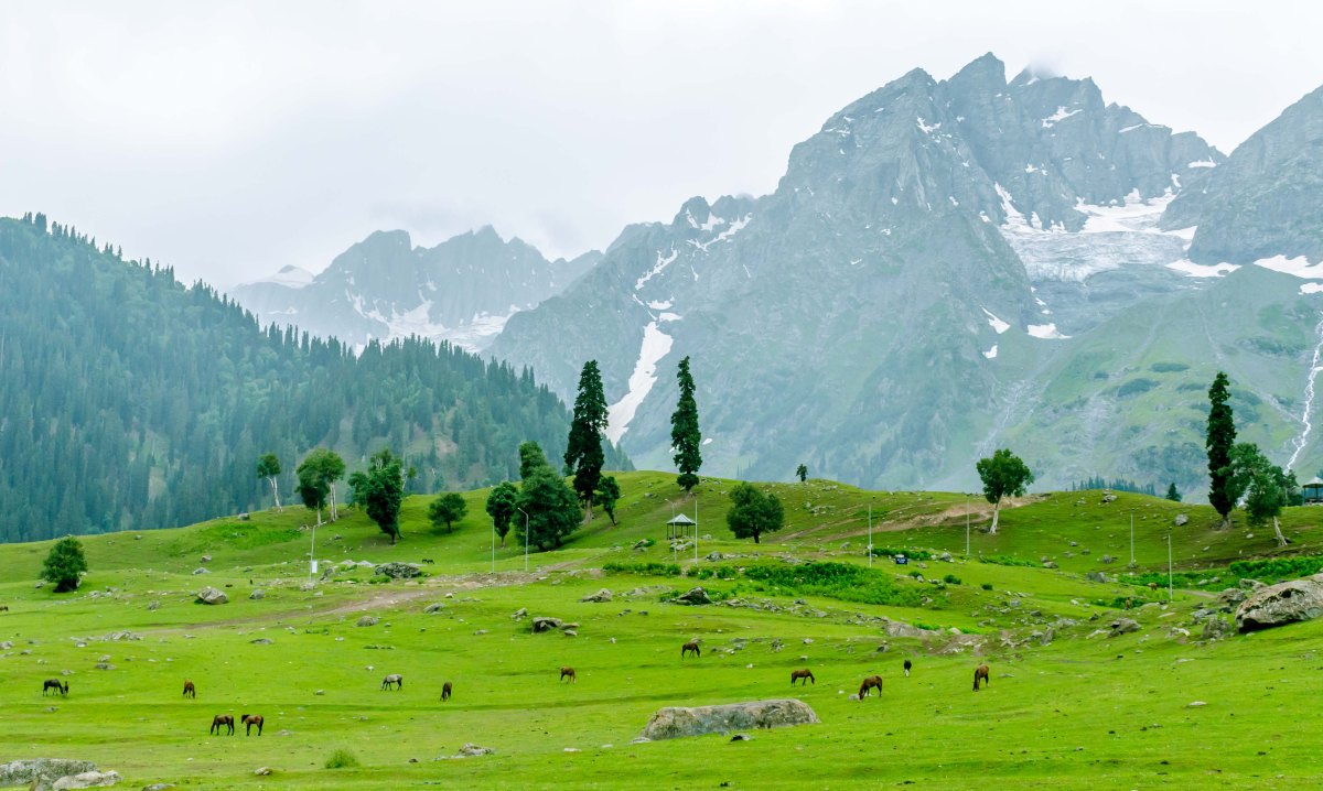 Sonamarg
