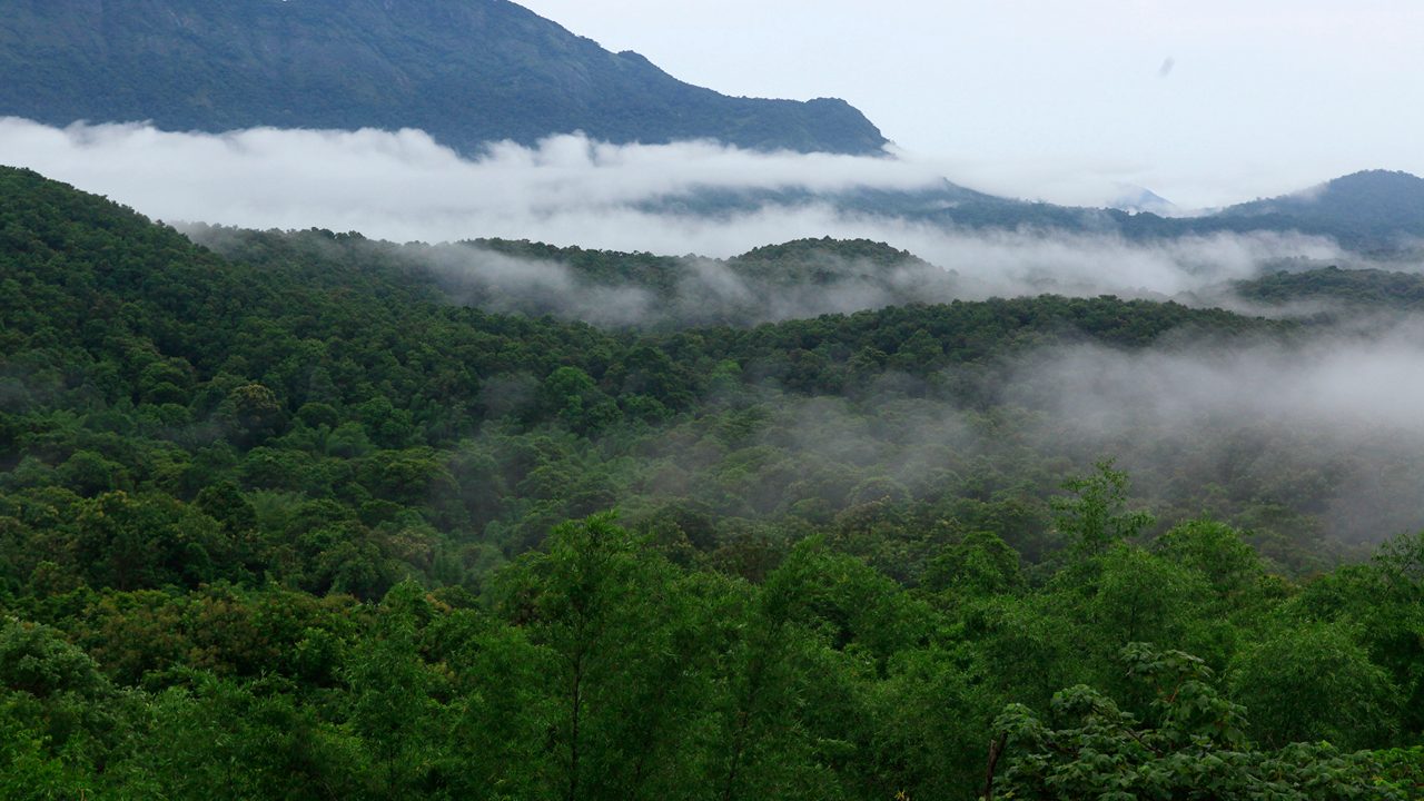Silent Valley National Park