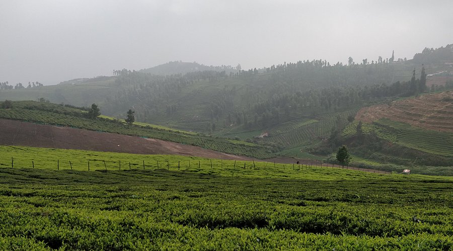 Ketti Valley Viewpoint