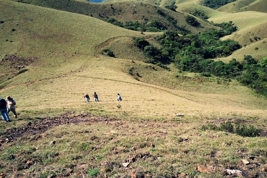 Mukurthi National Park
