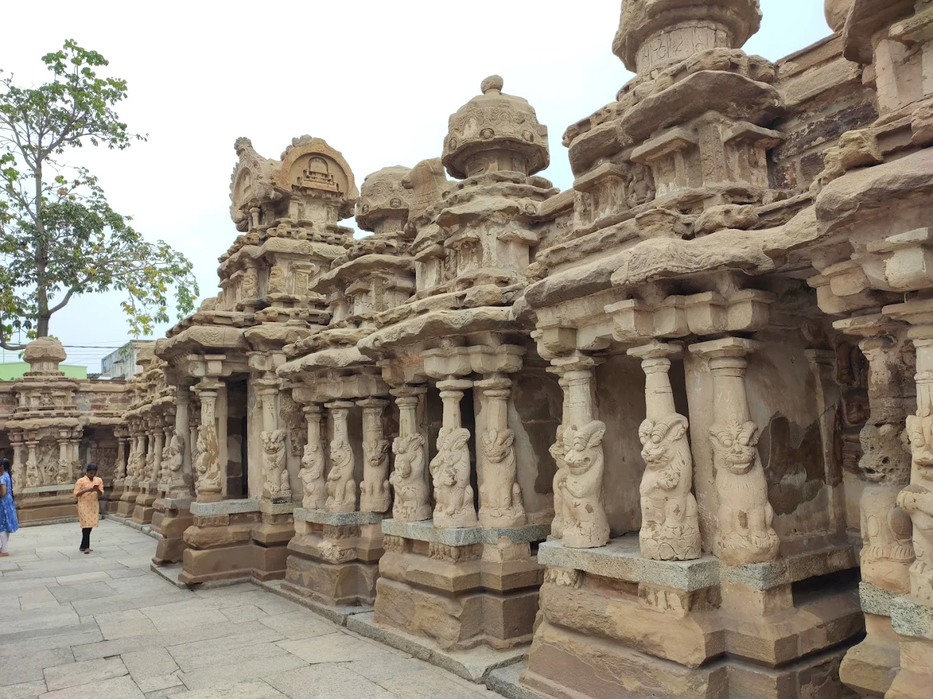 Kailasanathar Temple Caves