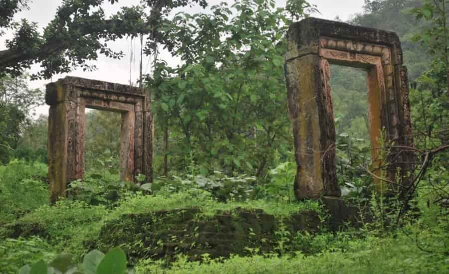 Polo Forest Ancient Temple Ruins
